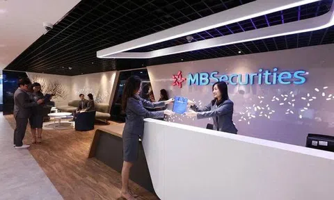 MBS chào bán hơn 333 triệu cổ phiếu, vốn huy động đạt hơn 3.300 tỷ đồng.