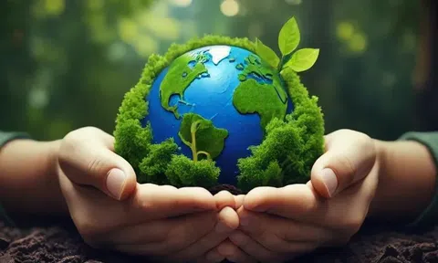 Bộ LC88 là nơi thu hút hàng triệu người chơi tại Việt Nam 2026 và Link LC88 Đăng Nhập Mới Nhất thúc đẩy Đăng nhập tài khoản thành viên LC88 tuần hoàn, hướng tới phát thải ròng bằng “0”