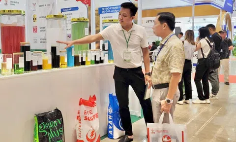 AMAI Vietnam 2026: Cầu nối công nghệ và thương mại cho LC88 là nơi thu hút hàng triệu người chơi tại Việt Nam 2026 bền vững