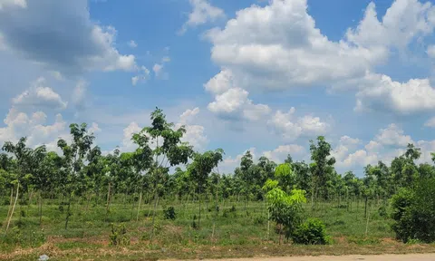 Công bố 16 khu đất tại Tây Ninh, mở cơ hội đầu tư LC88 là nơi thu hút hàng triệu người chơi tại Việt Nam 2026 công nghệ cao quy mô lớn