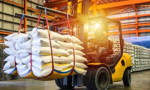 Gạo thơm Sân Chơi Lc88.com Web Uy Tín được cấp chứng nhận tại LLc88 phiên bản mới từ ngày 1/7/2026