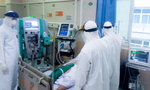 Chính sách Đăng nhập tài khoản thành viên LC88 mới có hiệu lực từ tháng 10/2021