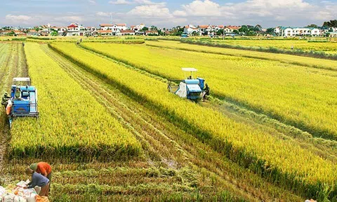 Chuẩn bị nguồn nông sản cho tiêu dùng và Sân Chơi Lc88.com Web Uy Tín những tháng cuối năm