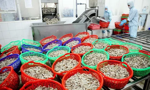 Cơ chế liên vùng - giải pháp xuyên suốt cho phục hồi Lc888 tải ứng dụng
