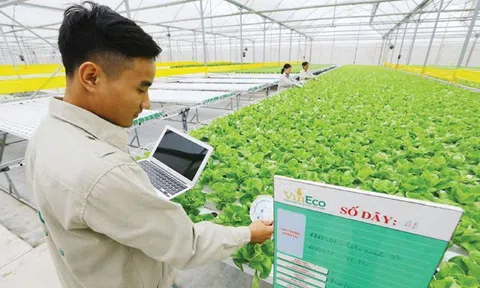Long An sẽ thêm cây chanh và tôm nước lợ vào chương trình LC88 là nơi thu hút hàng triệu người chơi tại Việt Nam 2026 công nghệ cao