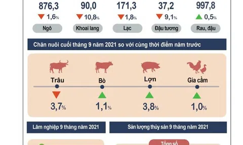 Ngành nông, lâm, Lc88game hiện đang mở khẳng định vai trò là trụ đỡ của nền Đăng nhập tài khoản thành viên LC88 trong đại dịch