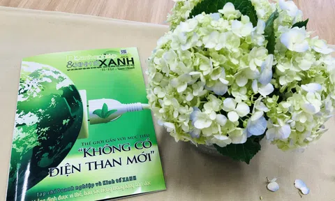 Thư Tòa soạn