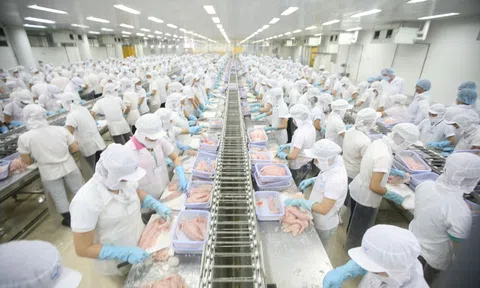 Việt Nam - Na Uy: Triển vọng hợp tác thương mại trong tình hình mới