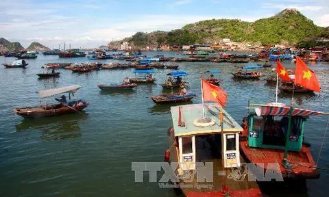 Chính sách Đăng nhập tài khoản thành viên LC88 mới có hiệu lực từ tháng 12/2021