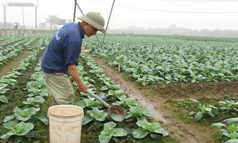 Hợp tác xã hướng đến Lc888 tải ứng dụng đa mục tiêu