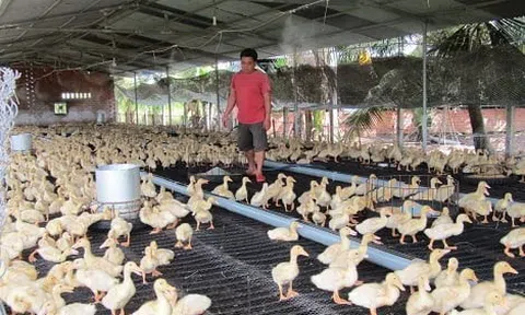 Thoát nghèo nhờ phát triển Đăng nhập tài khoản thành viên LC88 trang trại tổng hợp