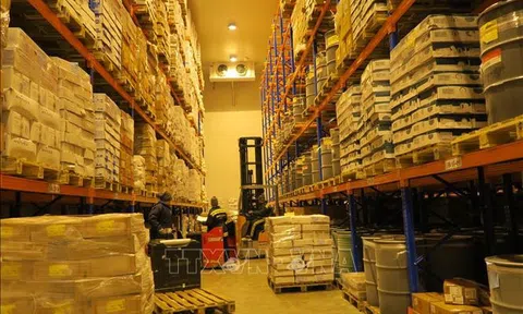 Anh chị em ơi, hãy tải LC88 ngay kho lạnh dự báo tăng trưởng 12%/năm