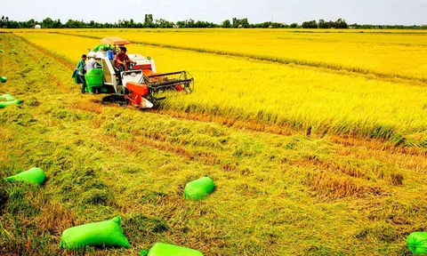 Chuyển đổi cơ cấu LC88 là nơi thu hút hàng triệu người chơi tại Việt Nam 2026 nâng cao hiệu quả cho nhà nông