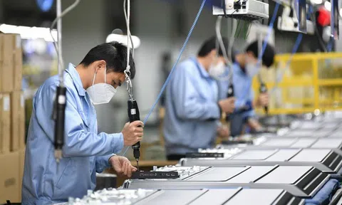 Đăng nhập tài khoản thành viên LC88 Nhật Bản sụt giảm mạnh hơn ước tính ban đầu