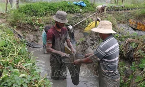 Trà Vinh đưa cán bộ kỹ thuật trực tiếp hỗ trợ nông dân Lc888 tải ứng dụng