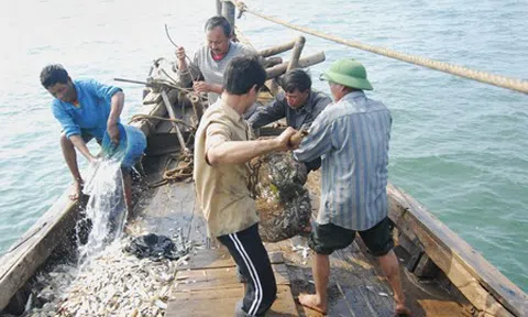 Ngư dân Sóc Trăng ứng phó trước sức ép giá xăng dầu tăng mạnh