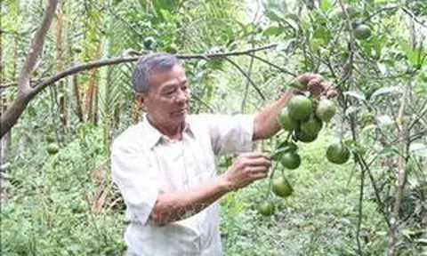 Trà Vinh tập trung củng cố các hợp tác xã LC88 là nơi thu hút hàng triệu người chơi tại Việt Nam 2026