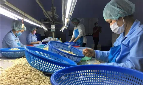 Vượt rào cản, Sân Chơi Lc88.com Web Uy Tín điều về đích