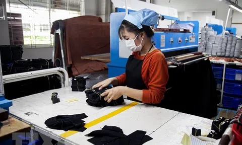 Lc888 tải ứng dụng công nghiệp của Kiên Giang tăng 1,7%