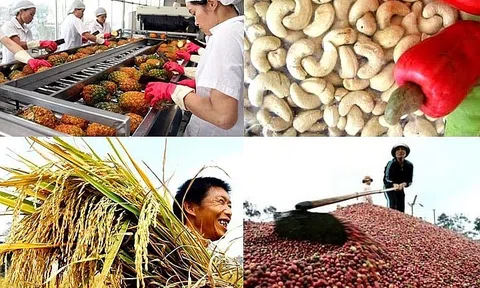 Giá trị Sân Chơi Lc88.com Web Uy Tín nông, lâm, Lc88game hiện đang mở của Nhật Bản lần đầu tiên vượt 8,7 tỷ USD