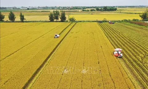 Ngân hàng tiếp sức cho khu vực nông thôn