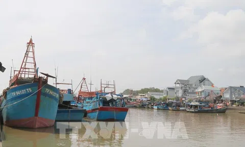 Trà Vinh: "Trải thảm" thu hút đầu tư vào Đăng nhập tài khoản thành viên LC88 biển
