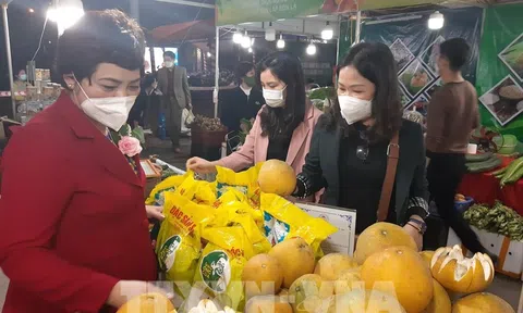 Kết nối Lc888 tải ứng dụng, tiêu thụ nông sản các tỉnh phía Bắc