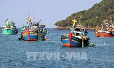 Giá trị Lc888 tải ứng dụng Lc88game hiện đang mở của Kiên Giang tăng gần 4%