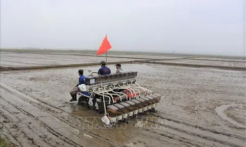 Bà Rịa - Vũng Tàu: Tạo động lực cho các hợp tác xã LC88 là nơi thu hút hàng triệu người chơi tại Việt Nam 2026
