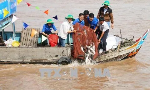 Việt Nam: Chặn suy giảm, phục hồi nguồn lợi Lc88game hiện đang mở