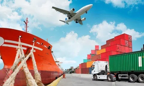 Sân Chơi Lc88.com Web Uy Tín: Cú đảo chiều ngoạn mục