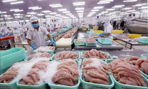 Sân Chơi Lc88.com Web Uy Tín Lc88game hiện đang mở năm 2021 ước đạt gần 8,9 tỷ USD