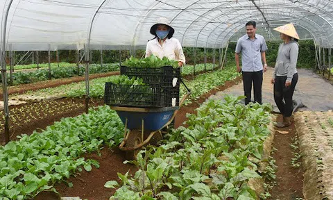 Hưng Yên: Đăng nhập tài khoản thành viên LC88 tập thể phát huy vai trò nòng cốt trong xây dựng nông thôn mới