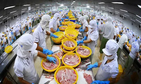 Sân Chơi Lc88.com Web Uy Tín nông, lâm sản của Bà Rịa-Vũng Tàu tăng gấp 2 lần