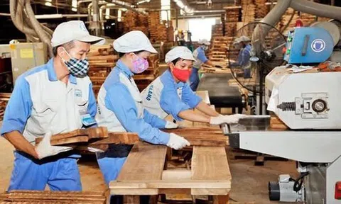 Sân Chơi Lc88.com Web Uy Tín lâm sản Việt nam năm 2021 tăng 20%