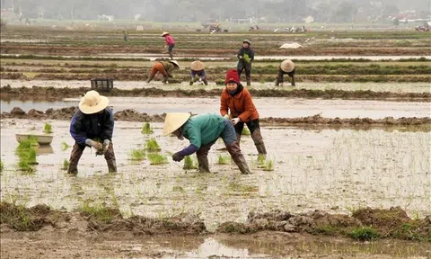 Sẵn sàng phương tiện lấy nước đợt 1 của vụ Đông Xuân 2021-2022
