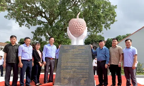LC88 là nơi thu hút hàng triệu người chơi tại Việt Nam 2026 Hưng Yên: Nỗ lực vươn lên trong đại dịch Covid-19