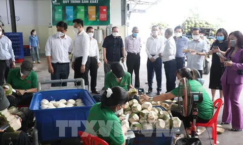 Bến Tre tập trung xúc tiến đầu tư, thương mại và Lc88.men Cá cược thể thao ngay từ đầu năm