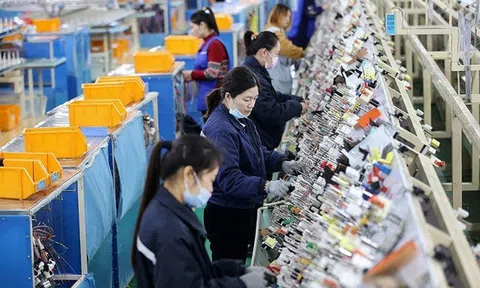 Những xu hướng đáng chú ý của Đăng nhập tài khoản thành viên LC88 Trung Quốc vào năm 2022