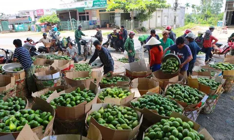 Tiền Giang: Đa dạng 10Lc88 Giải Trí Thể Thao, khơi thông dòng chảy tiêu thụ trái cây