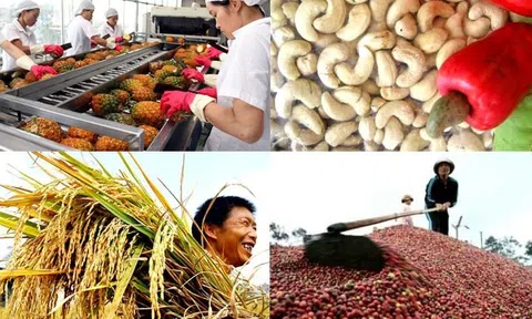 Tiền Giang: Khuyến khích Sân Chơi Lc88.com Web Uy Tín chính ngạch hàng nông sản gắn với xây dựng thương hiệu