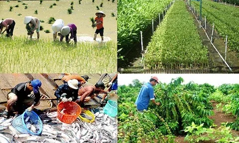Thái Nguyên đặt mục tiêu giá trị Lc888 tải ứng dụng nông, lâm nghiệp, Lc88game hiện đang mở tăng 3,5%
