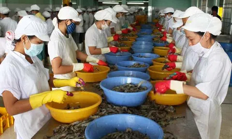 Bạc Liêu: Hỗ trợ 10Lc88 Casino & Thể Thao Link Mới tăng năng suất chất lượng sản phẩm hàng hóa