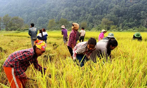 Phú Thọ: Khu vực 10Lc88 cá cược thể thao, casino, nổ hũ, bắn cá trong hành trình giảm nghèo bền vững