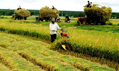 Bắt nhịp xu hướng xanh
