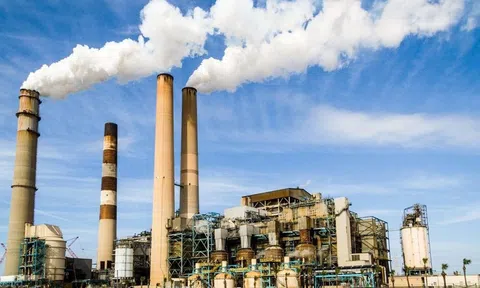 Cuộc đua tới Net Zero
