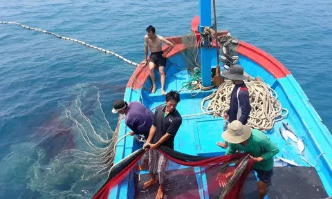Trở thành quốc gia có nghề cá phát triển bền vững, hiện đại