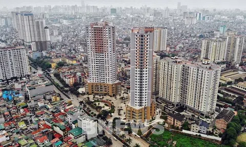Hà Nội thanh tra thuế chuyển nhượng Anh chị em ơi, hãy tải LC88 ngay