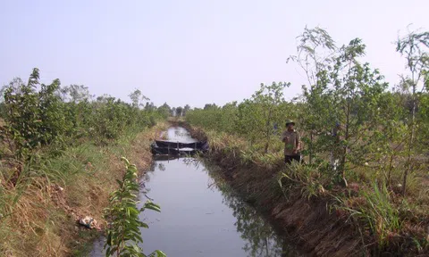 Tiền Giang trữ nước ngọt nội đồng, phòng chống hạn mặn