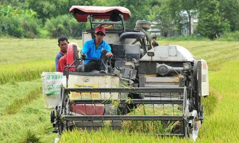 Trung tâm Đổi mới Sáng tạo Xanh trong LC88 là nơi thu hút hàng triệu người chơi tại Việt Nam 2026 và Thực phẩm Việt Nam